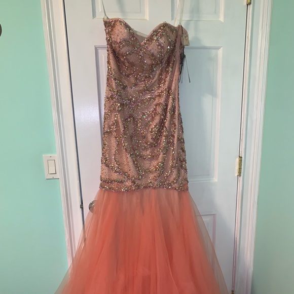 Terani couture prom dress, absolutely gorgeous on - Picture 8 of 10